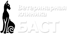 Баст спб. Ветеринарная клиника Баст Омск. Компания Баст Санкт-Петербург. ООО Баст Санкт-Петербург официальный сайт.