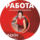 VOICE Центр опросов общественного мнения